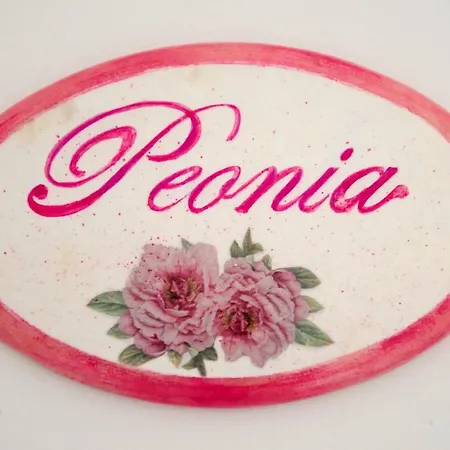 住宿加早餐酒店 Corte Dell' Immacolata