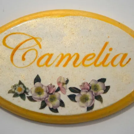 ベッド・アンド・ブレックファスト Corte Dell' Immacolata